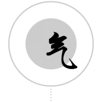 Spirit-logo
