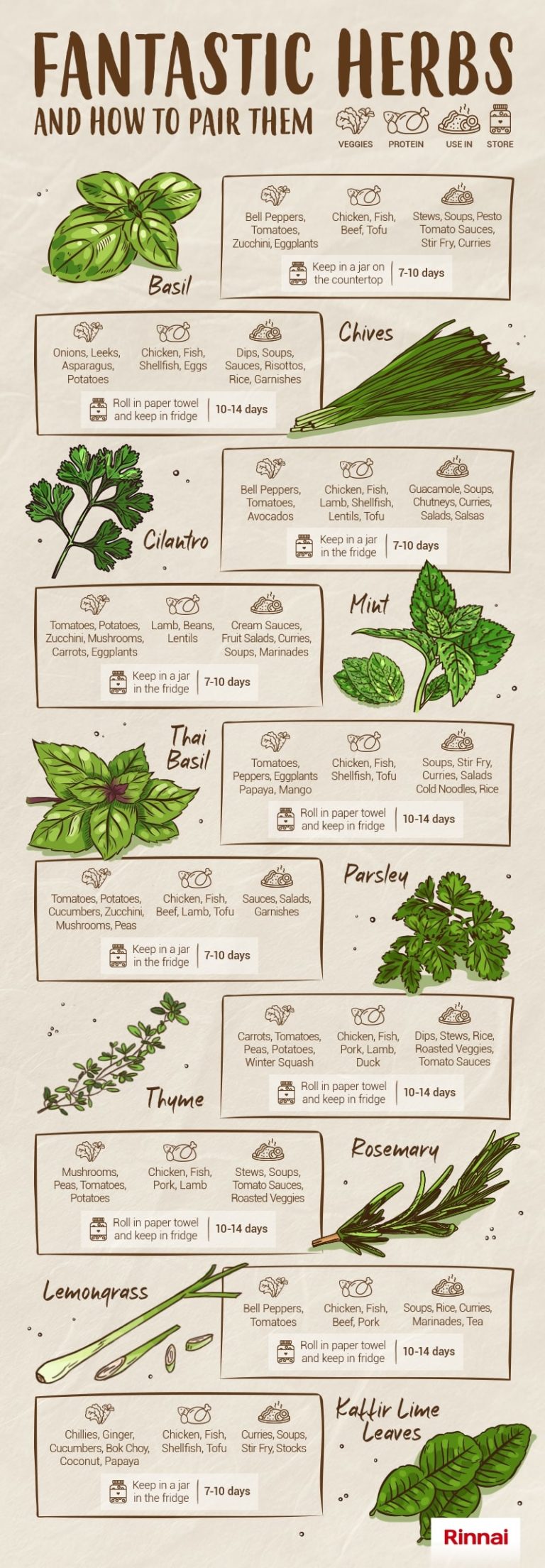 How to Pair and Store Herbs (Infographic) Rinnai Malaysia